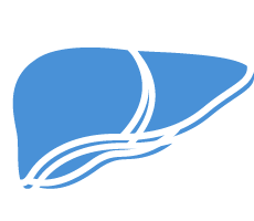 Hepatology Icon